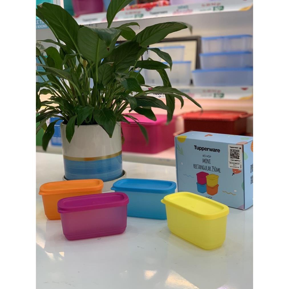 Bộ hộp bảo quản thực phẩm Mini rectangular 250ml tupperware