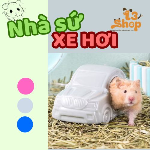 Nhà sứ xe hơi độc lạ dành cho hamster - T3 PETS SHOP