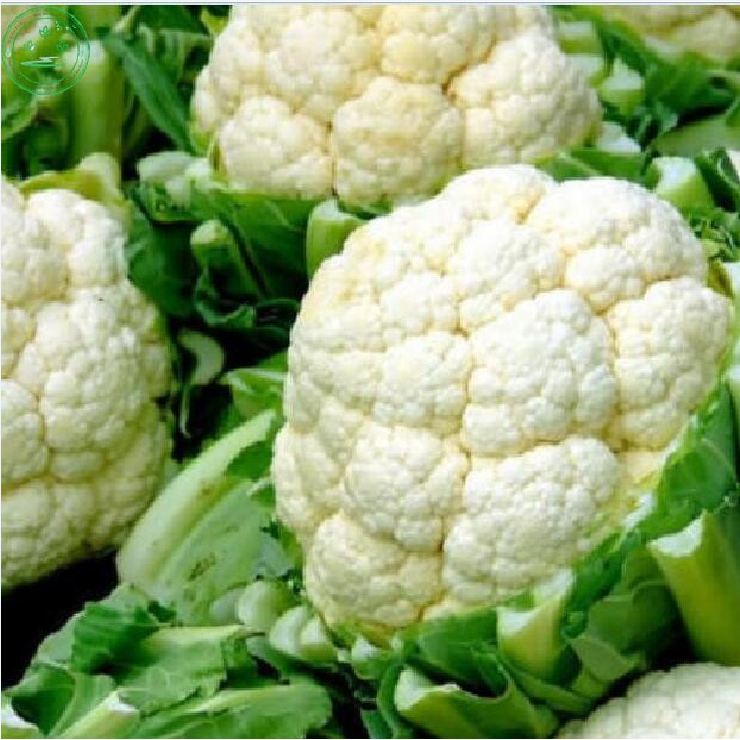 "Gói 0.2Gram "Hạt giống Súp lơ trắng [Seeds]