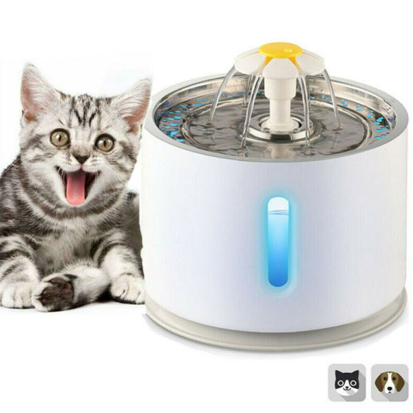 Đèn LED tự động cho thú cưng Vòi phun nước cho chó con Chó con mèo con Động vật phụ kiện 2.4L