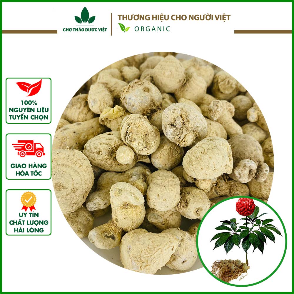 500gr tam thất nam