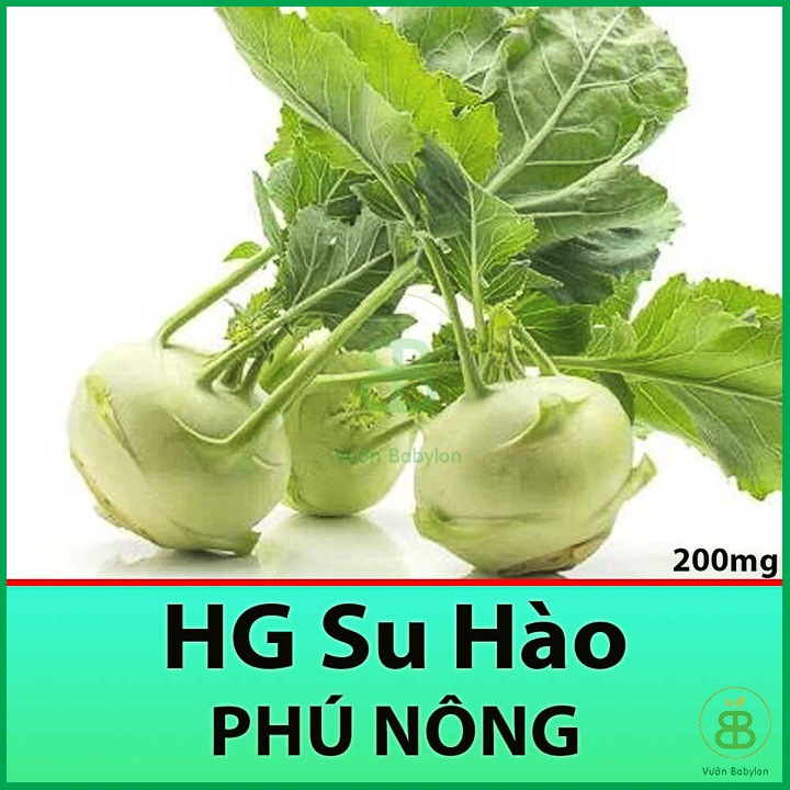 Hạt Giống Su Hào Xanh 2Gr Giòn, Ngọt, Nhanh Thu Hoạch