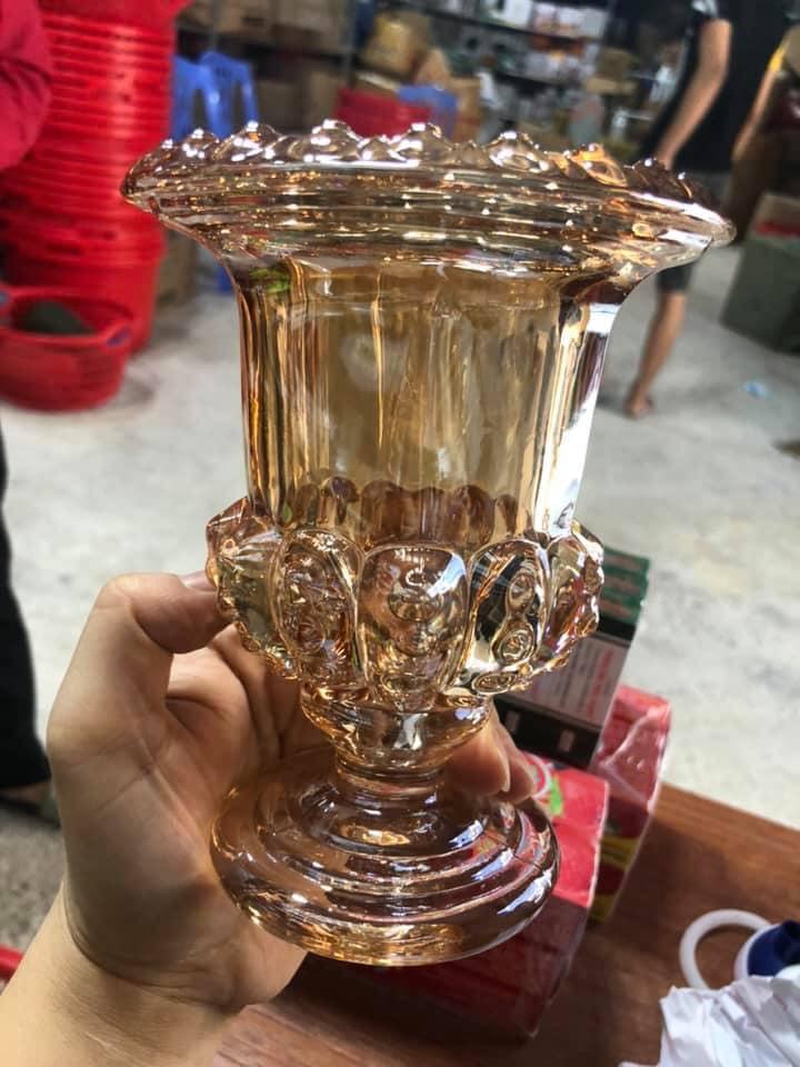 Bình thủy tinh cắm hoa,cắm phật thủ