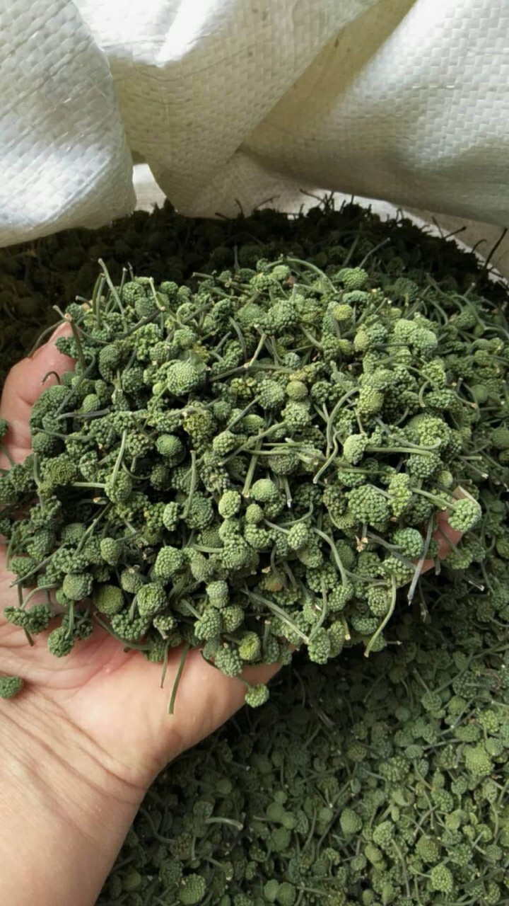 50 gram nụ tam thất đẹp thơm _ tinhhoatrathaomoc