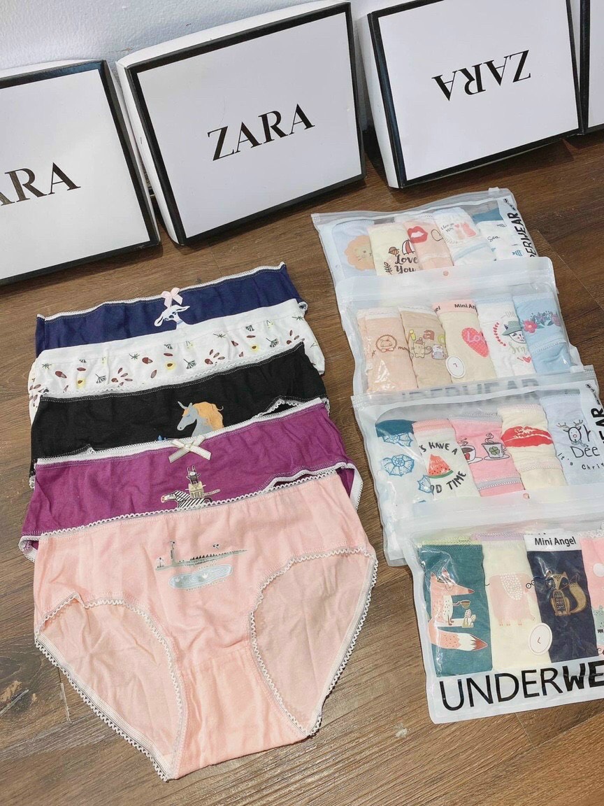 Combo 5 quần lót cotton kháng khuẩn in hình