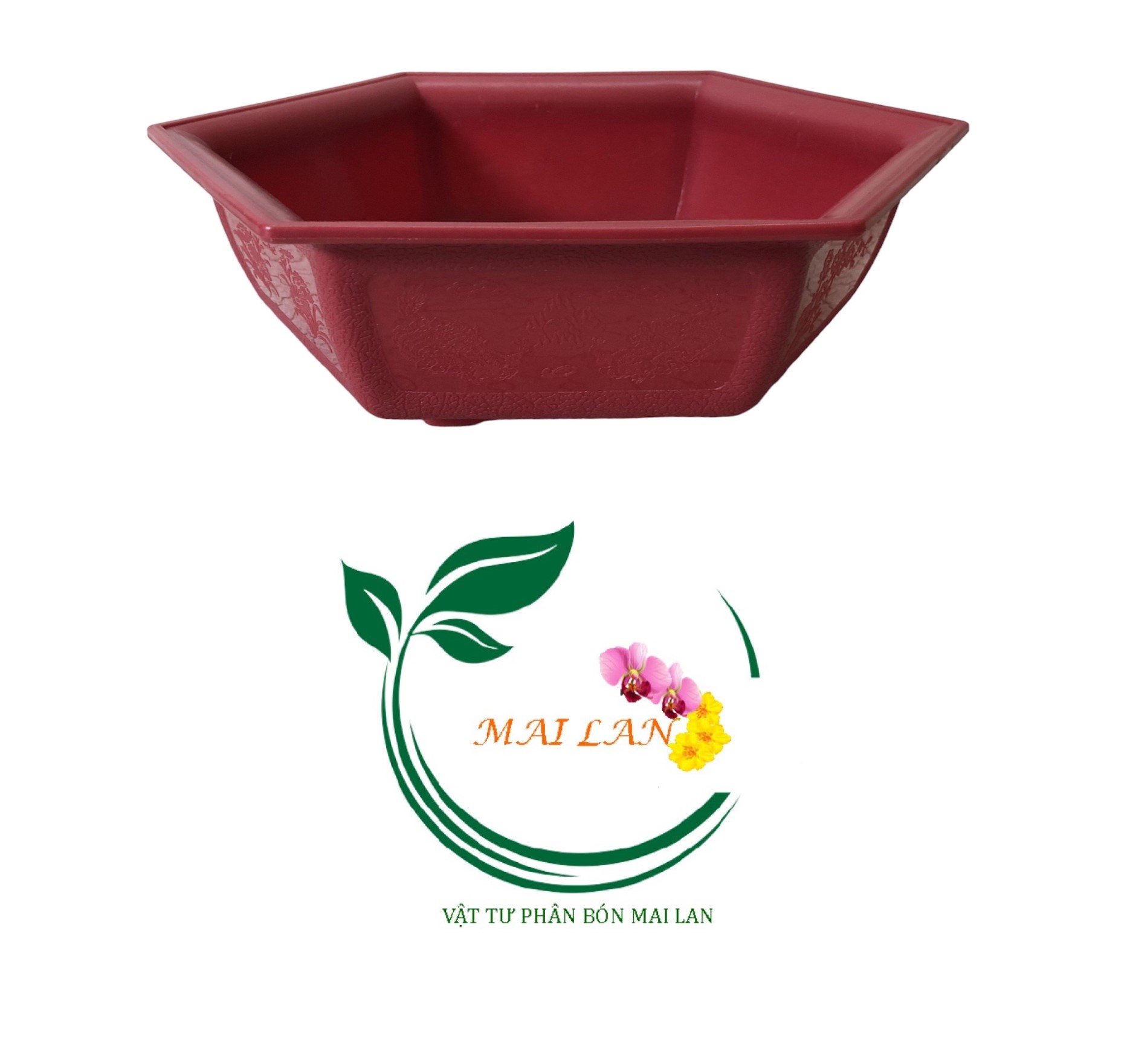 Chậu lục giác bonsai mini 21x8cm - #019d#