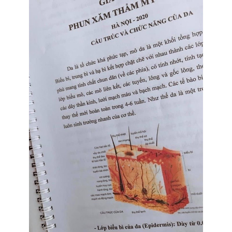 Hướng dẫn phun xăm mày môi mí đầy đủ chi tiết