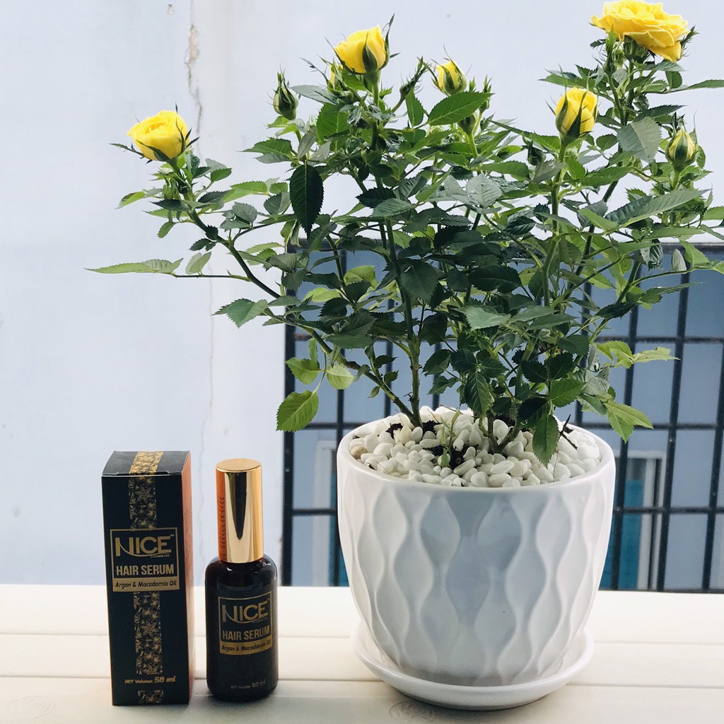 Tinh dầu dưỡng tóc Nice Hair Serum 50ml