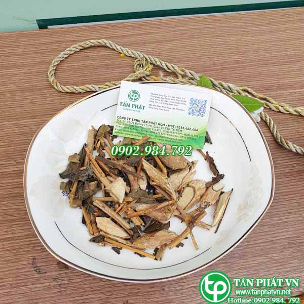 Cây kiến cò khô 1kg (thơm, sạch) - Thảo Dược Tấn Phát - Chuyên dùng để pha trà hỗ trợ thanh nhiệt và giải độc