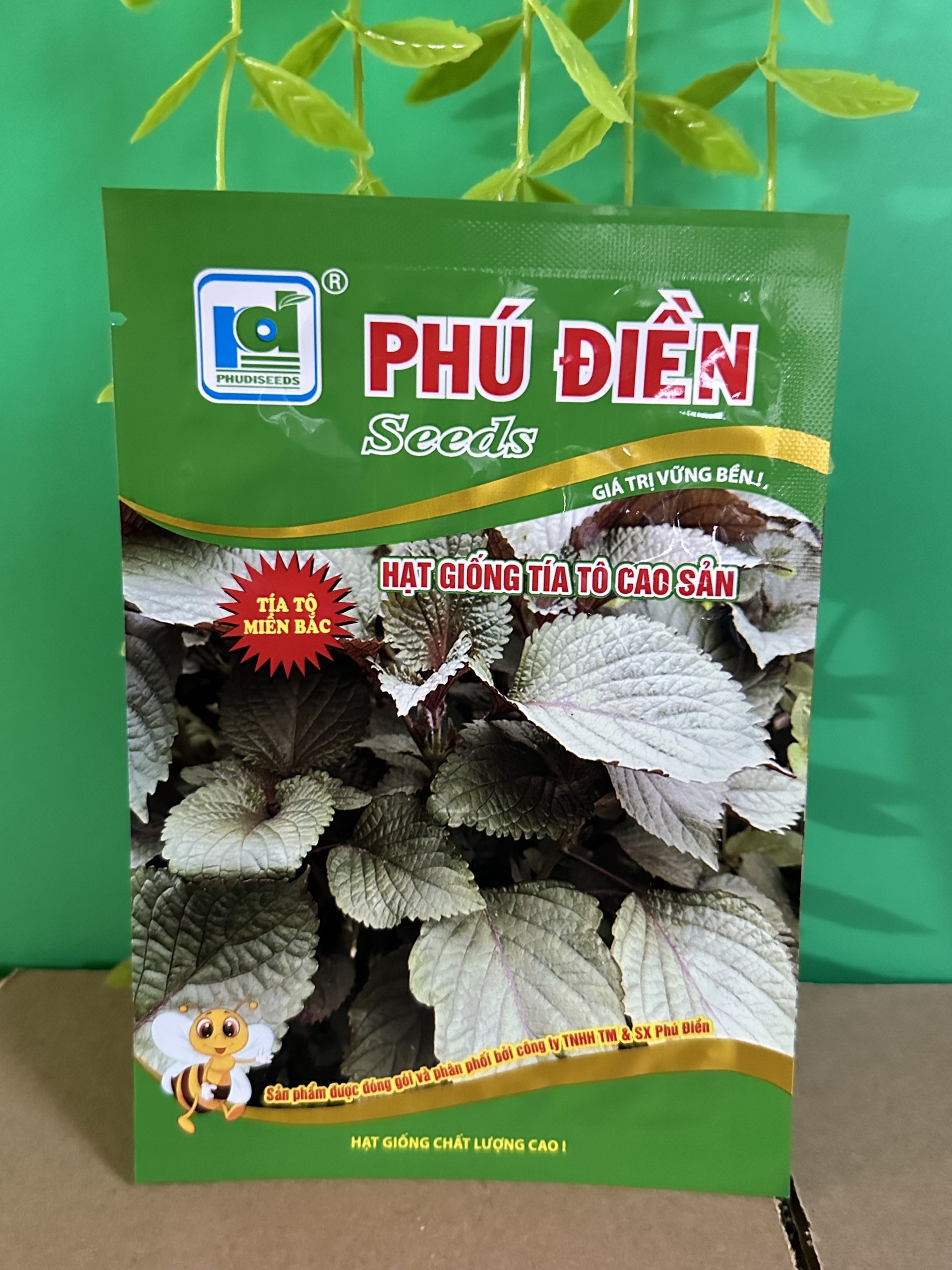 Hạt giống tía tô cao sản