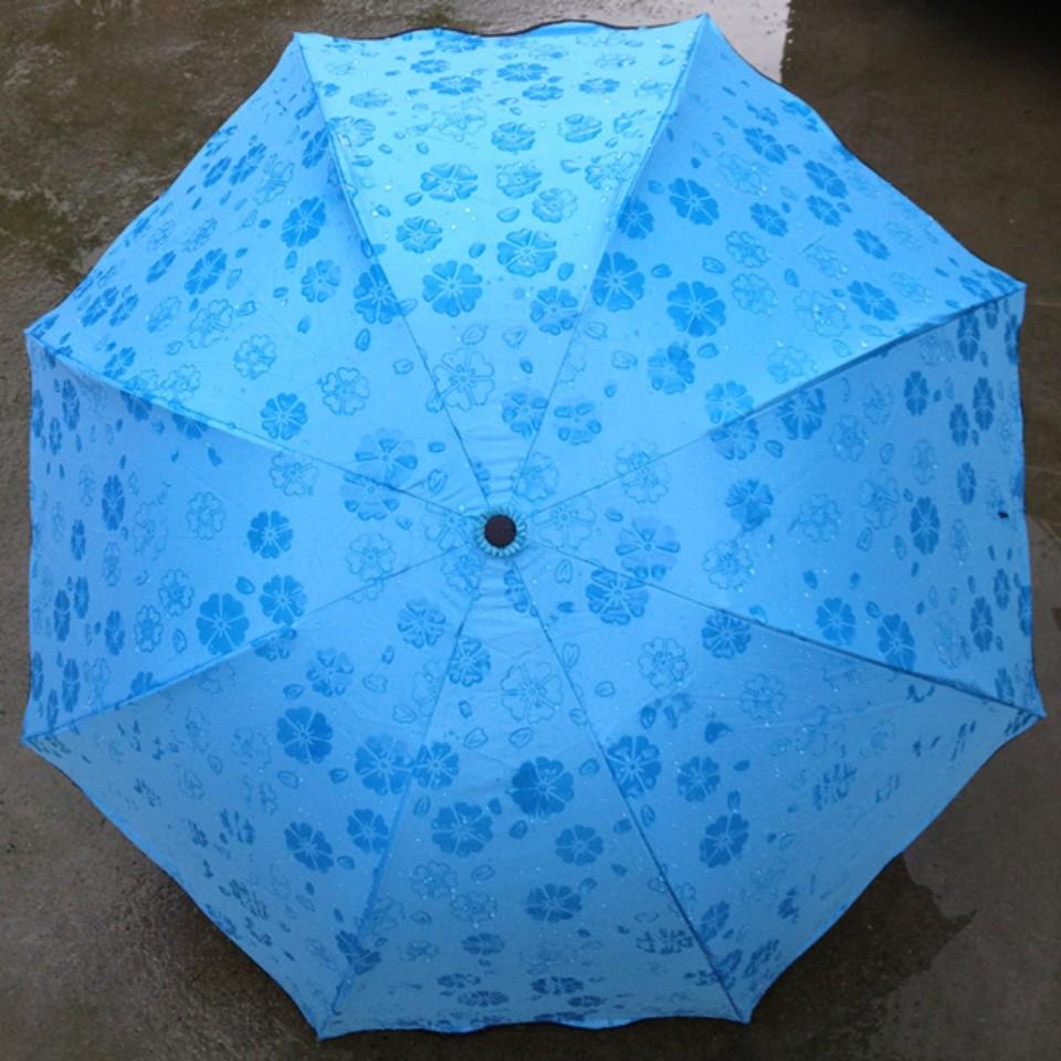 Ô Gấp Gọn "Gặp Nước Nở Hoa"