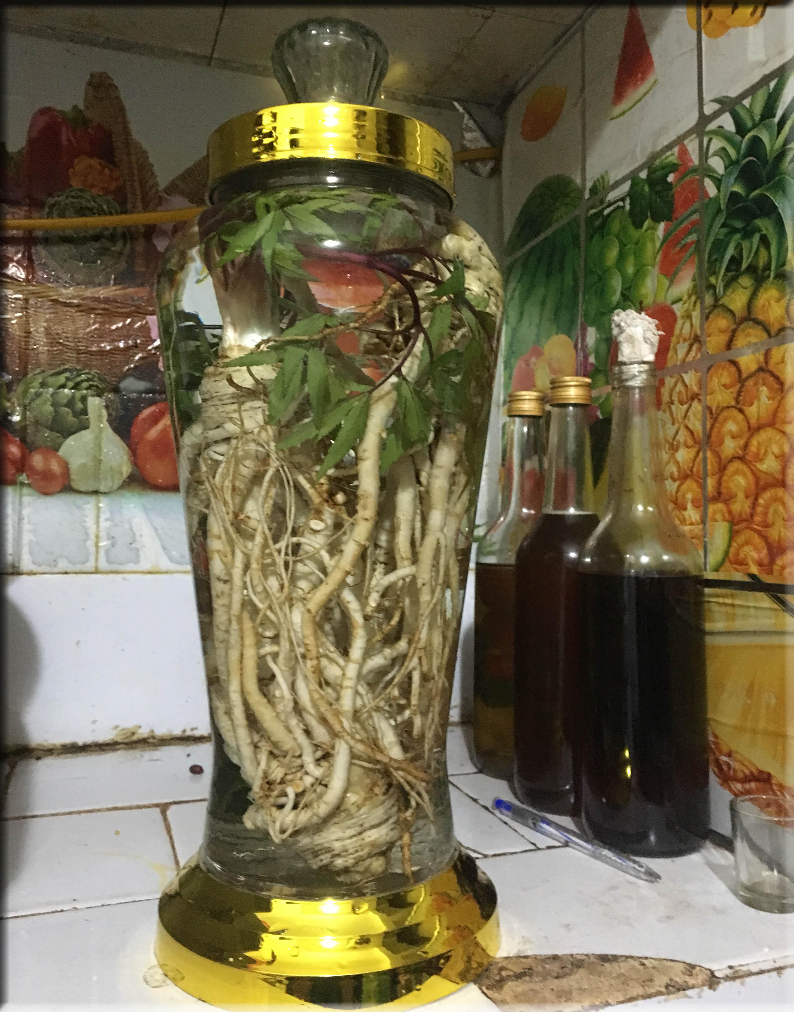 Sâm Đương Quy Sìn Hồ Lai Châu 1kg