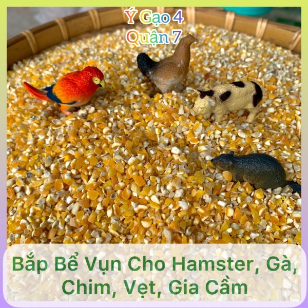 [Freeship Quận 7] Ngô (Bắp) bể vụn thức ăn cho hamster gà vịt chim vẹt cu gáy – Túi 1 kg -  Cung cấp tốt dinh dưỡng và sức khỏe gia cầm
