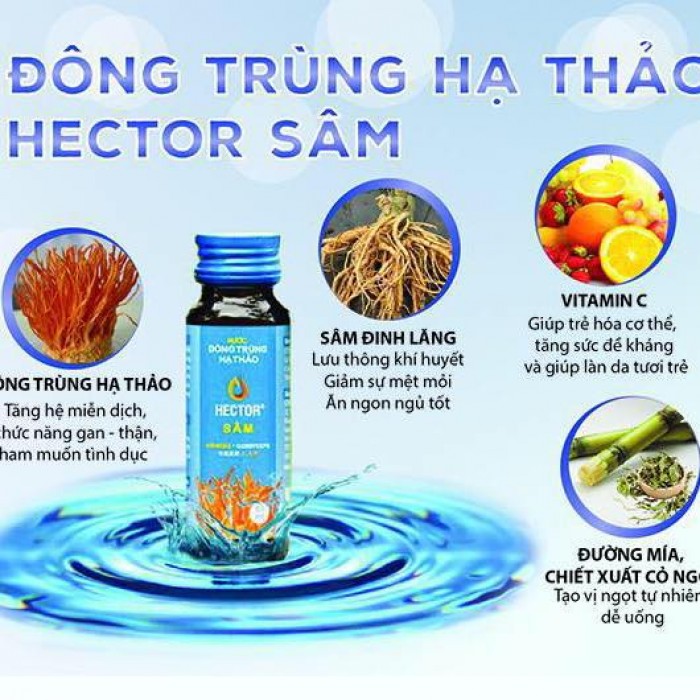 (CHÍNH HÃNG) 01 Hộp Đông Trùng Hạ Thảo Hector Sâm (10 chai/ hộp)