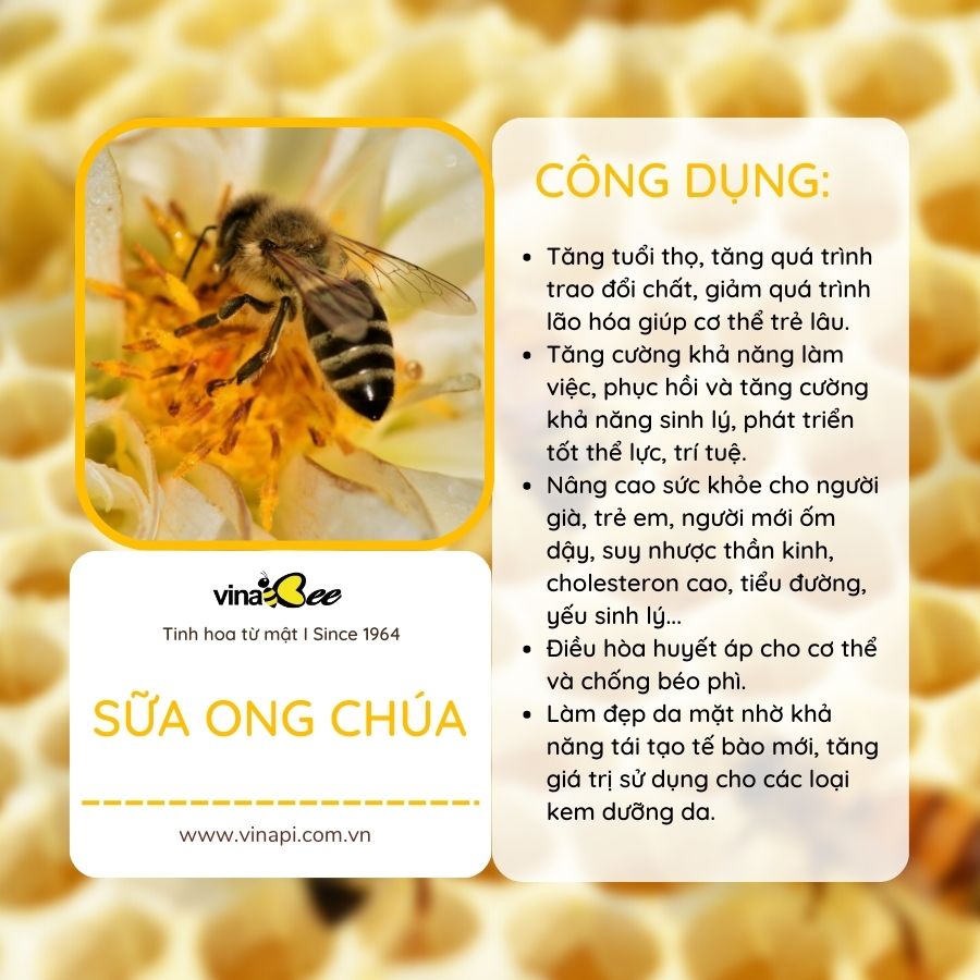Sữa Ong Chúa Vinabee 100g/200g/500g
