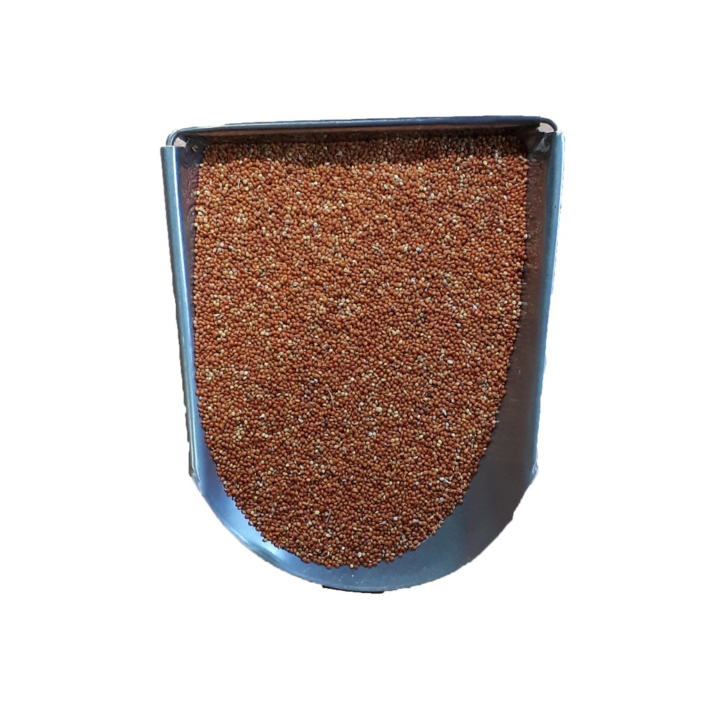 Kê nhỏ cho chim yến phụng, cu gáy 1kg - thức ăn chim yến phụng