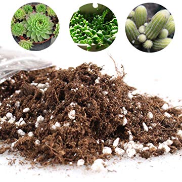 1 kg đất trồng sen đá xương rồng giàu dinh dưỡng