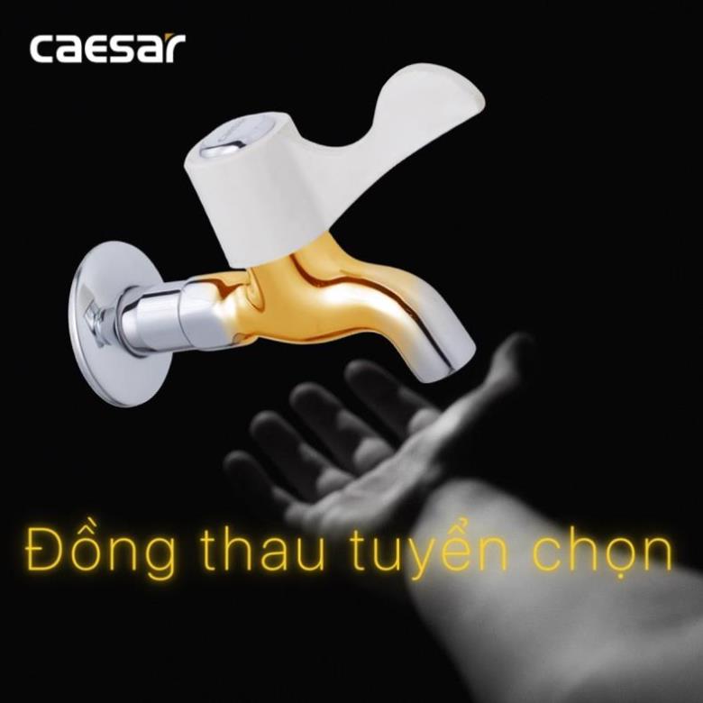 Vòi Hồ / Vòi Lạnh Gắn Tường CAESAR W027C