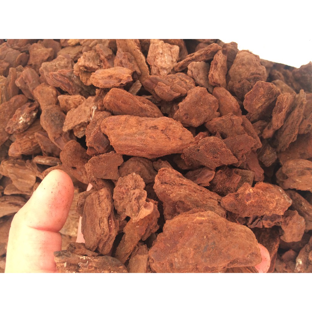 1kg vỏ thông xay trồng lan 1-3cm