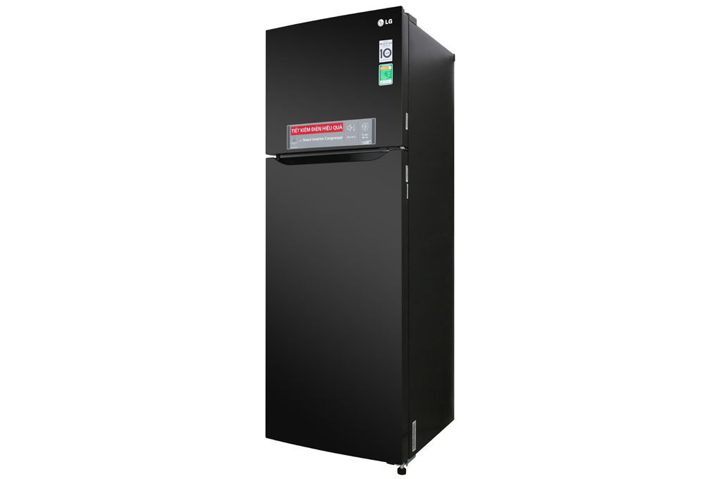 Tủ Lạnh LG M315BL