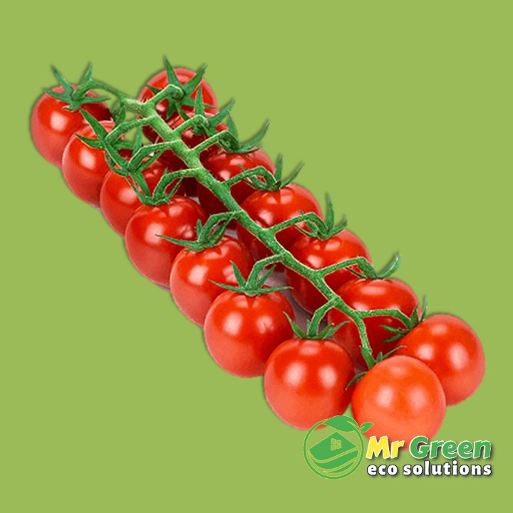 [HCM]Hạt Giống Cà Chua Cherry Lùn Đỏ F1 - 30 Hạt ??