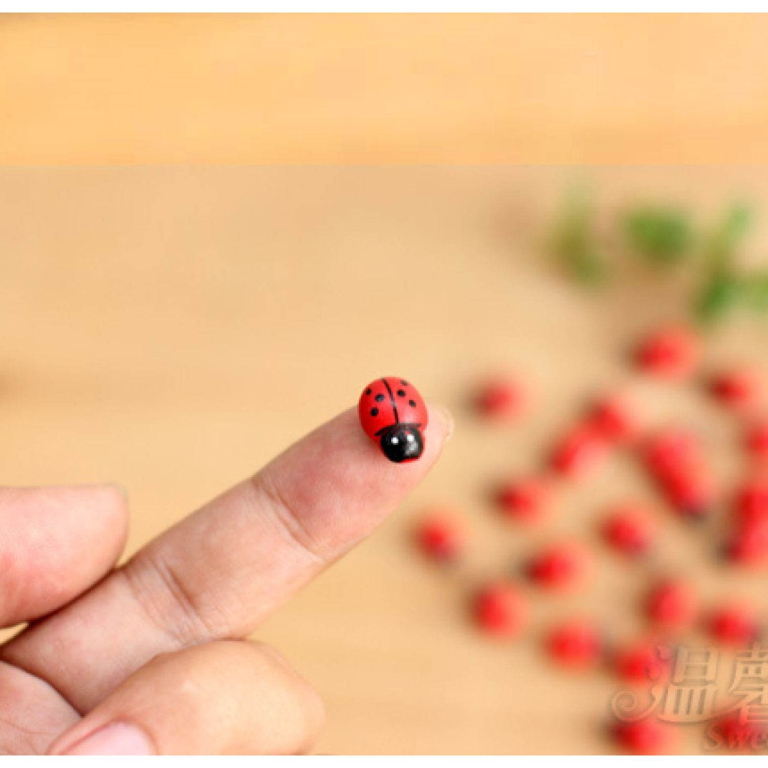 Mô hình bọ cánh cam gỗ trang trí tiểu cảnh