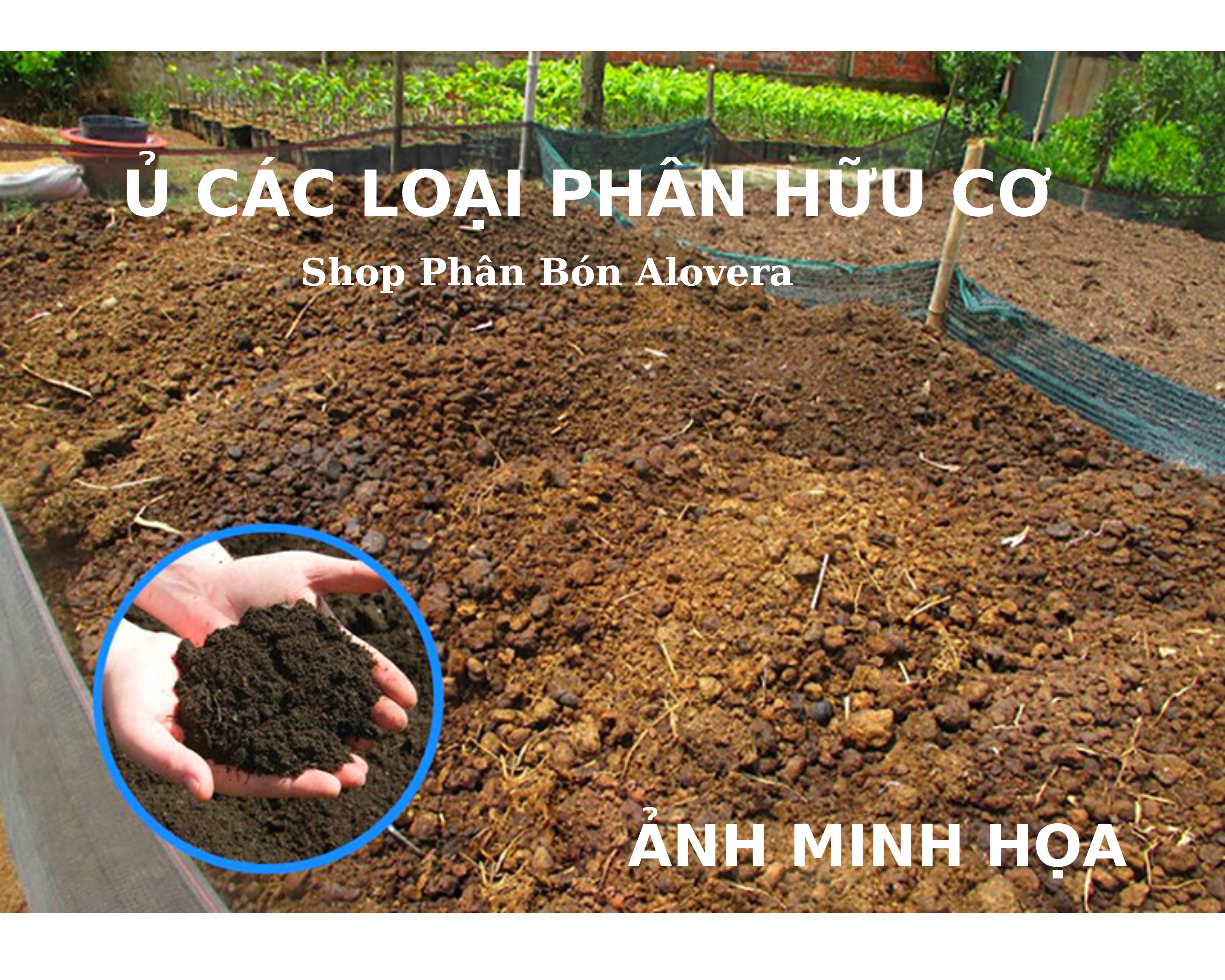 Chế Phẩm Vi Sinh TRICHODERMA Plus Cao Cấp Chuyên Ủ Phân Hữu Cơ Cho Mọi Cây Trồng Và Rau Sạch (Gói 1Kg)