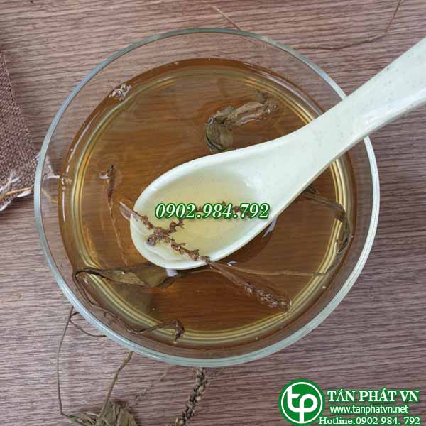 Cây mã đề khô 500g, Trà cây mã đề khô - Hàng công ty chất lượng cao - Thảo Dược Tấn Phát