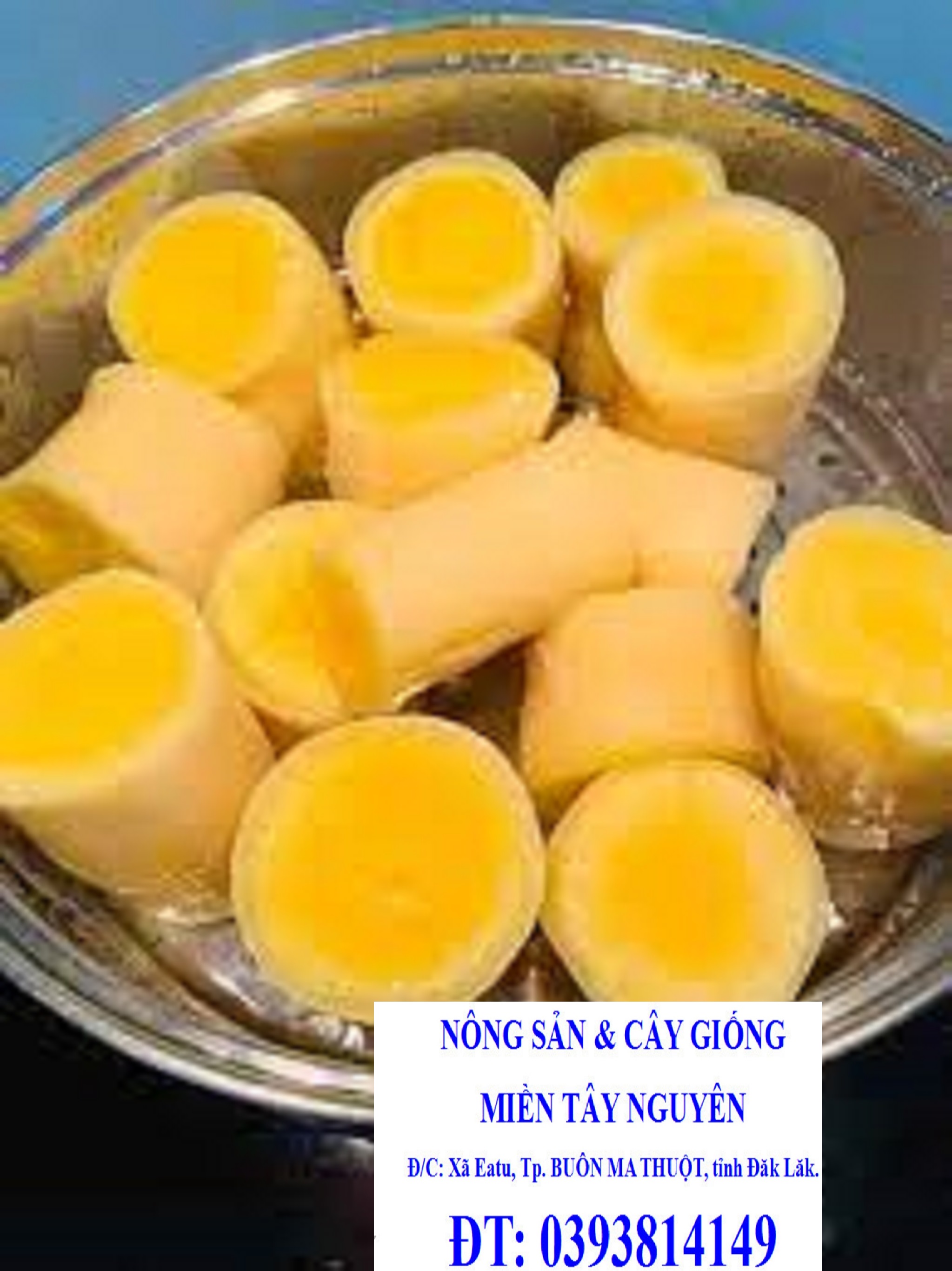 COMBO 5 kg CỦ KHOAI SẮN [ KHOAI MÌ ] RUỘT VÀNG DẺO [ TƯƠI, SẠCH, AN TOÀN ] [ CAM KẾT MỚI ĐÀO XONG 100% ]