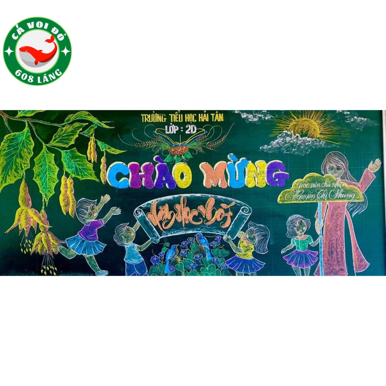 Phấn viết bảng không bụi (phấn trắng/ phấn màu)