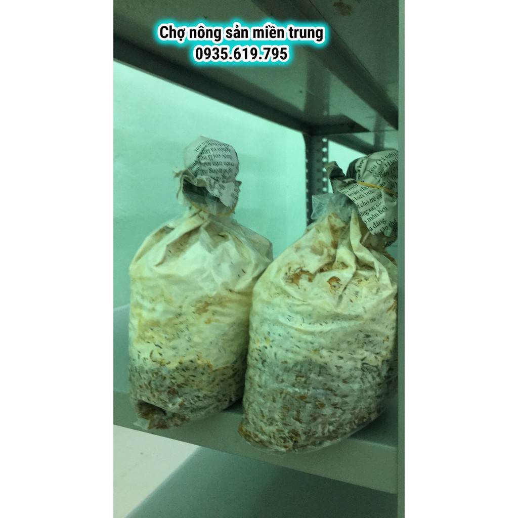 Meo giống nấm linh chi đỏ