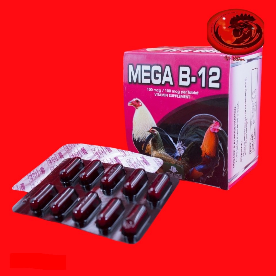 [BD] [ DATE LUÔN MỚI ] B12 - MEGA dinh dưỡ.ng dành cho gà đá 1 hộp 10 vỉ