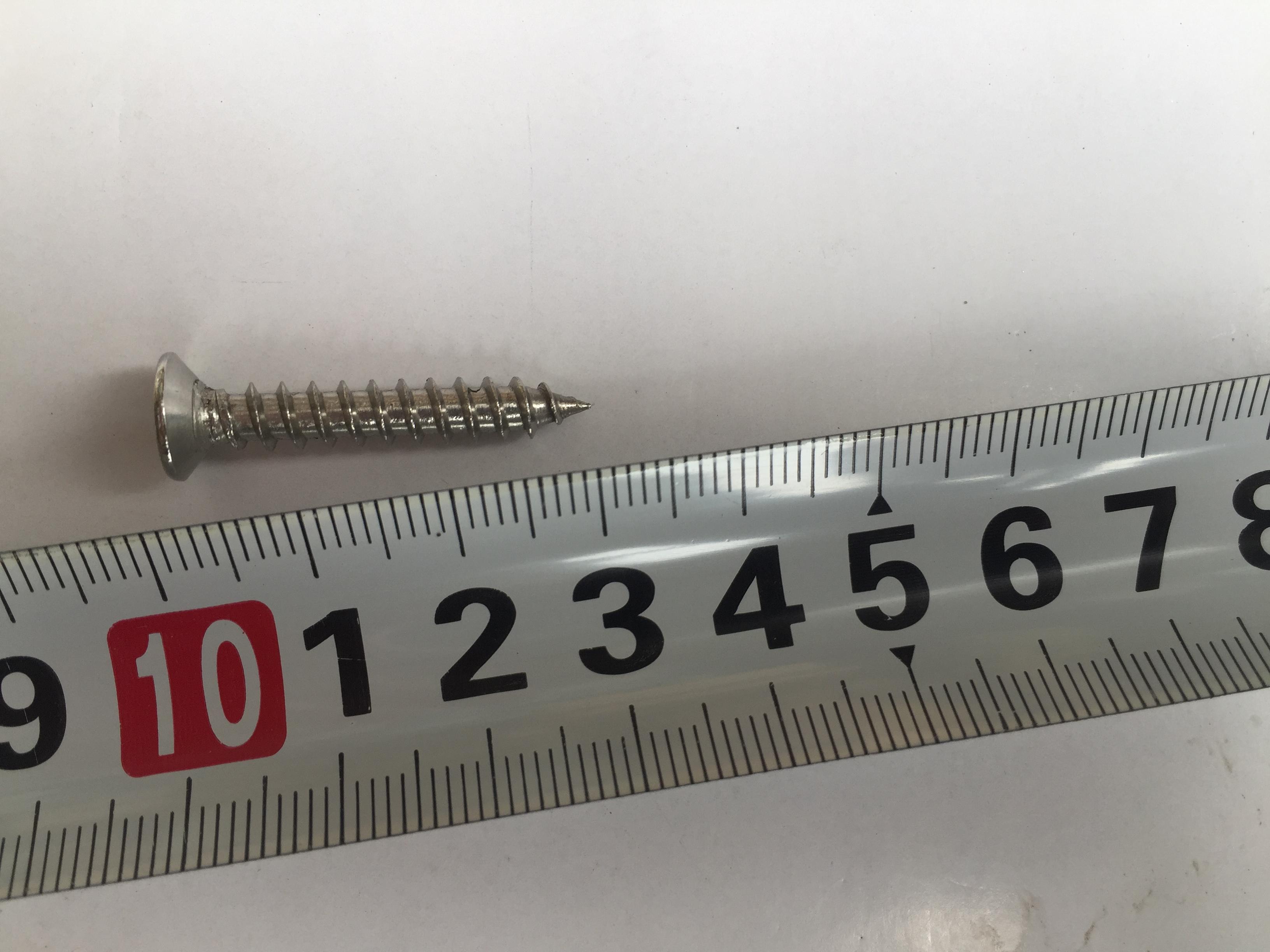 50 chiếc vít inox 304 phi 5 dài 3cm