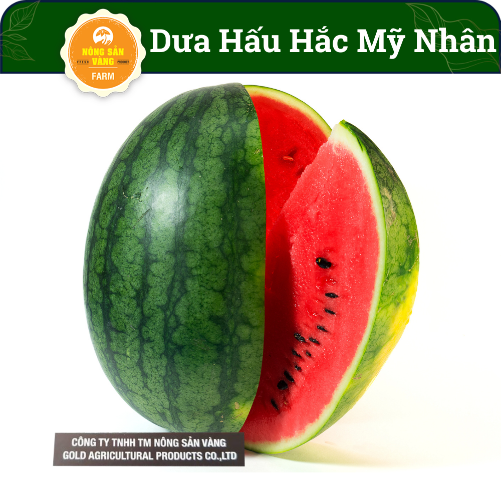 Water melon seeds Shell Green Black, translucent stripe, super sweet, little beads (pack 20 seeds)-shallow gold