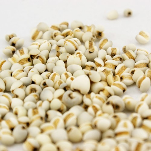 Hạt bobo (ý dĩ) nguyên hạt 200g