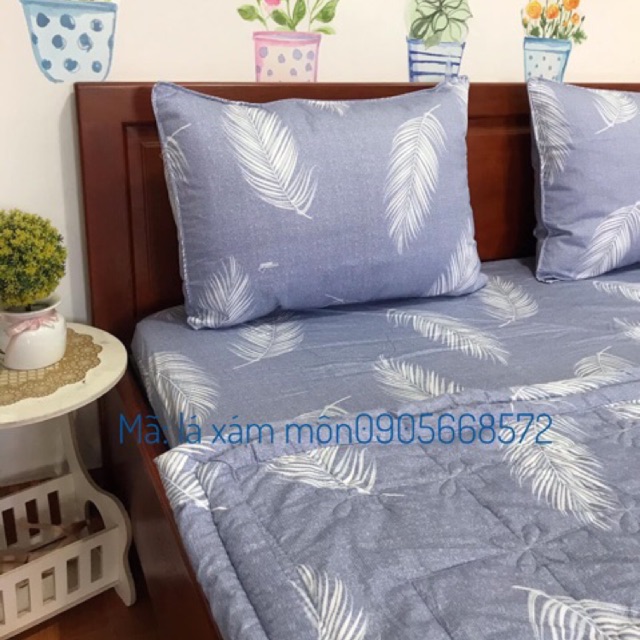 Bộ ga gối cotton thắng lợi - lá cọ xám môn