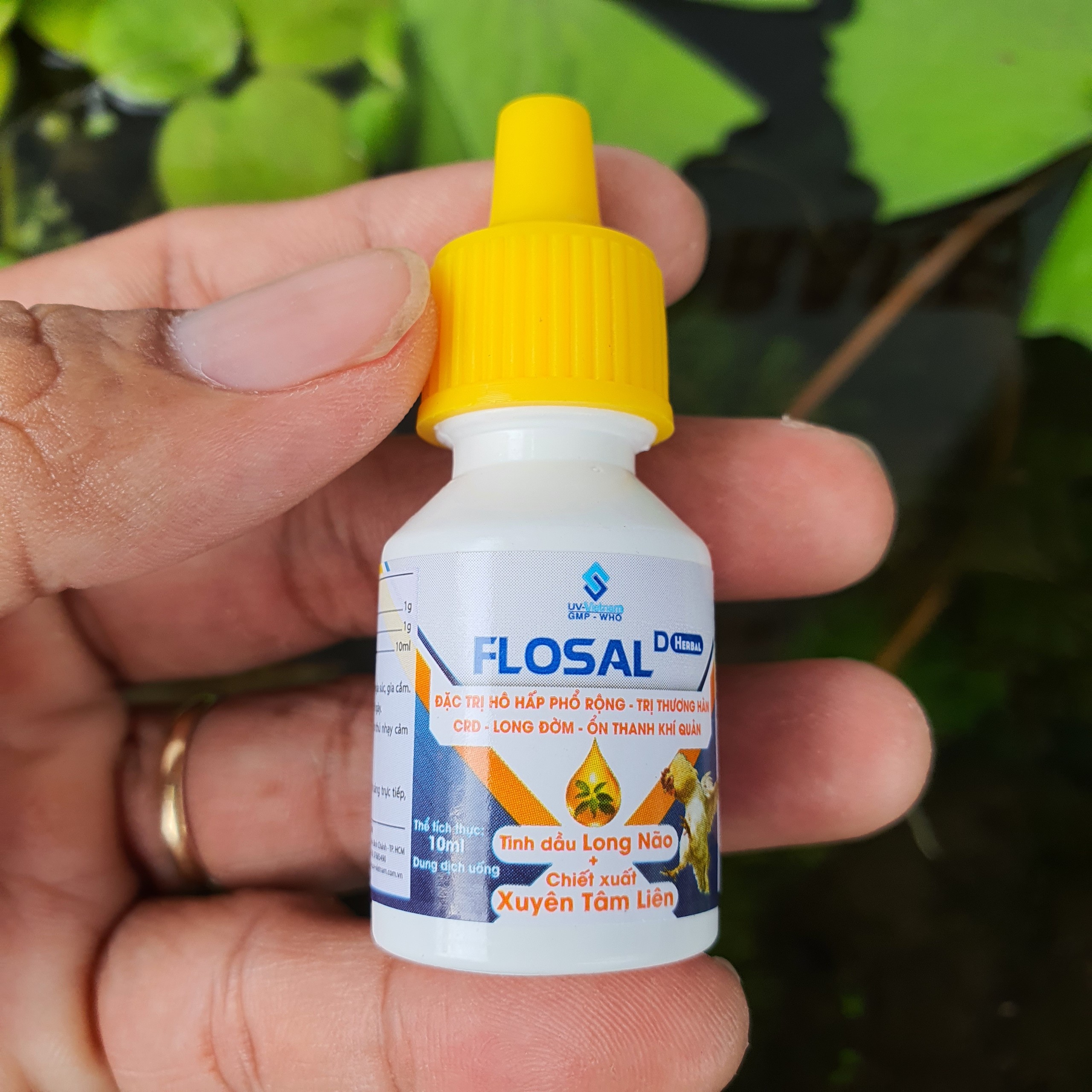 FLOSAL - D đặc tr ị khò khè thuốc gà đá 1 LỌ 10ML