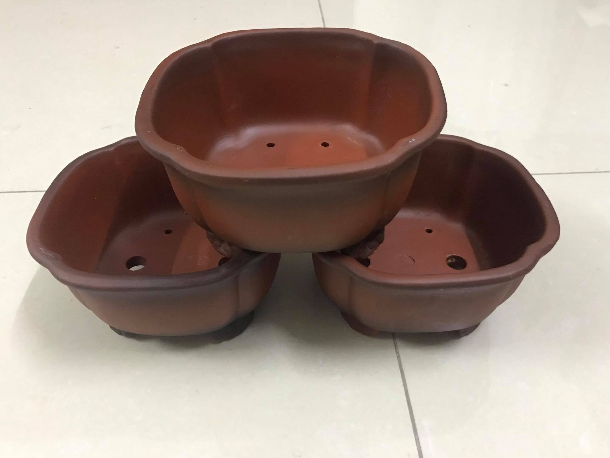 CHẬU MINI 01 - ÁNG MÂY