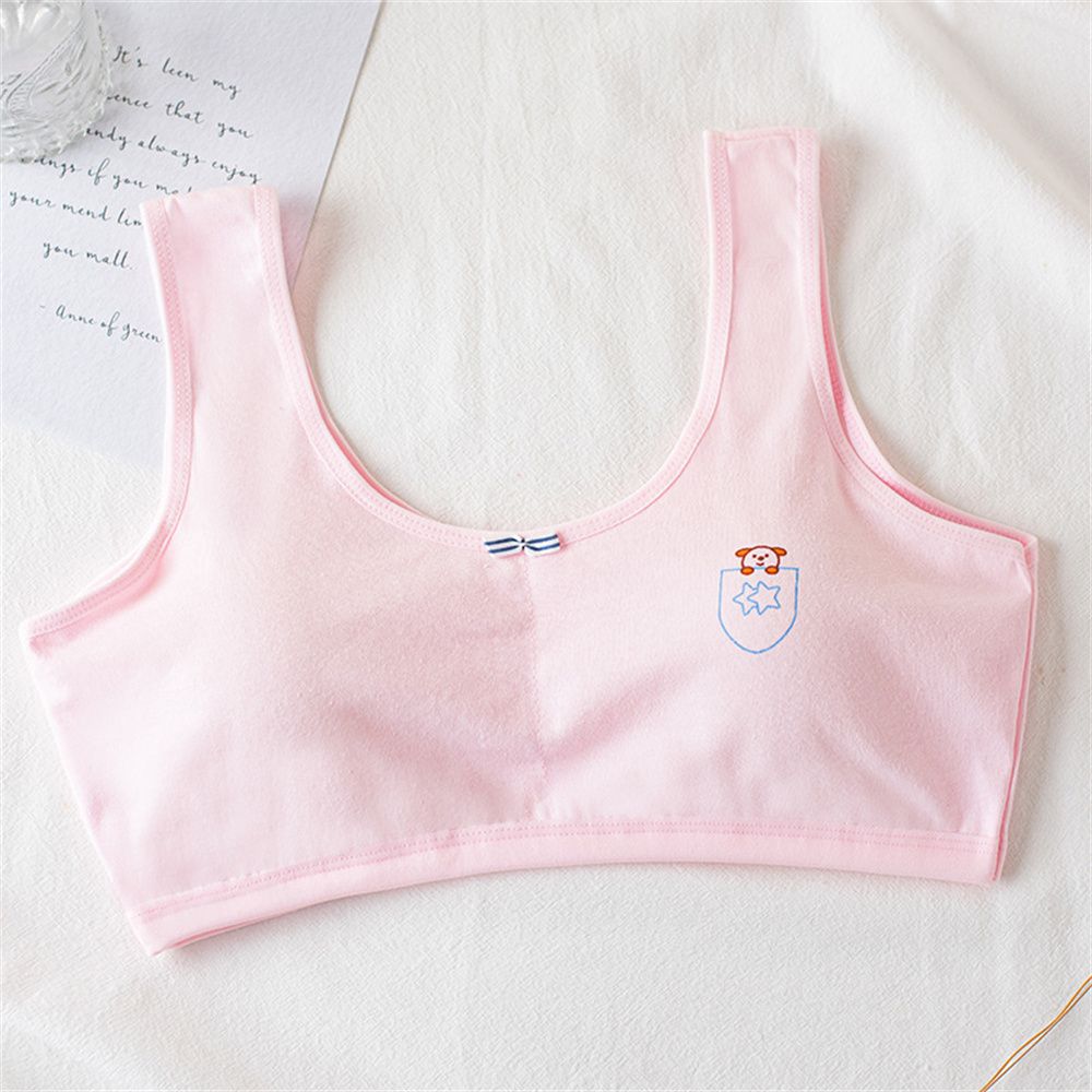 SFFGF Elastic Cotton Anti-exhaust Anti-peeping Crop Top for 8-16years Bra  with Sponge Students Vest Bra Girls Training Bra Teenager Girls Bra