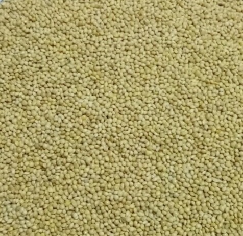 [HCM]500GRAM HẠT KÊ VÀNG CHO CHIMVẸT YẾN PHỤNG