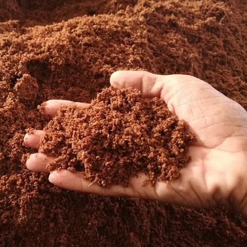 Mụn xơ dừa - gói 1kg