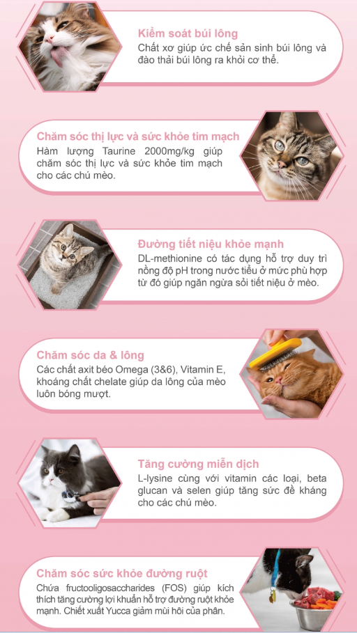 (Mua 1 TẶNG 2 HÀNG MẪU) Catsrang - Thức ăn hạt cho mèo nhỏ CATSRANG Kitten