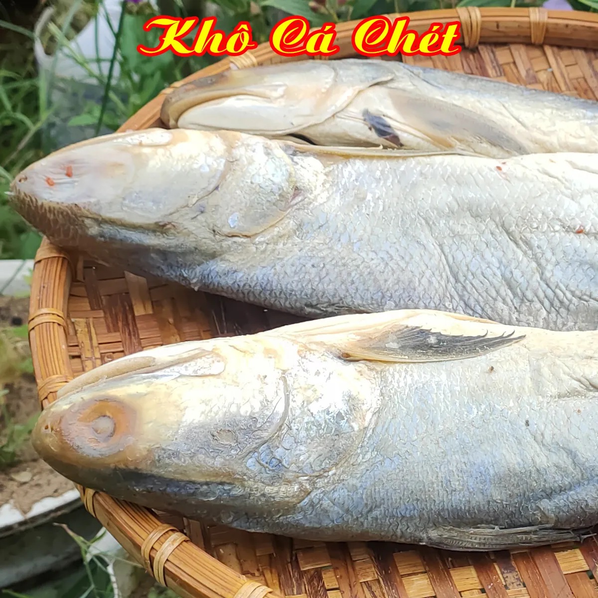 Khô Cá Chét Muối Dùi ( mắm cá chét , khô cá chét thơm) . Đặc Sản Minh Triết( 1kg, 500gr)