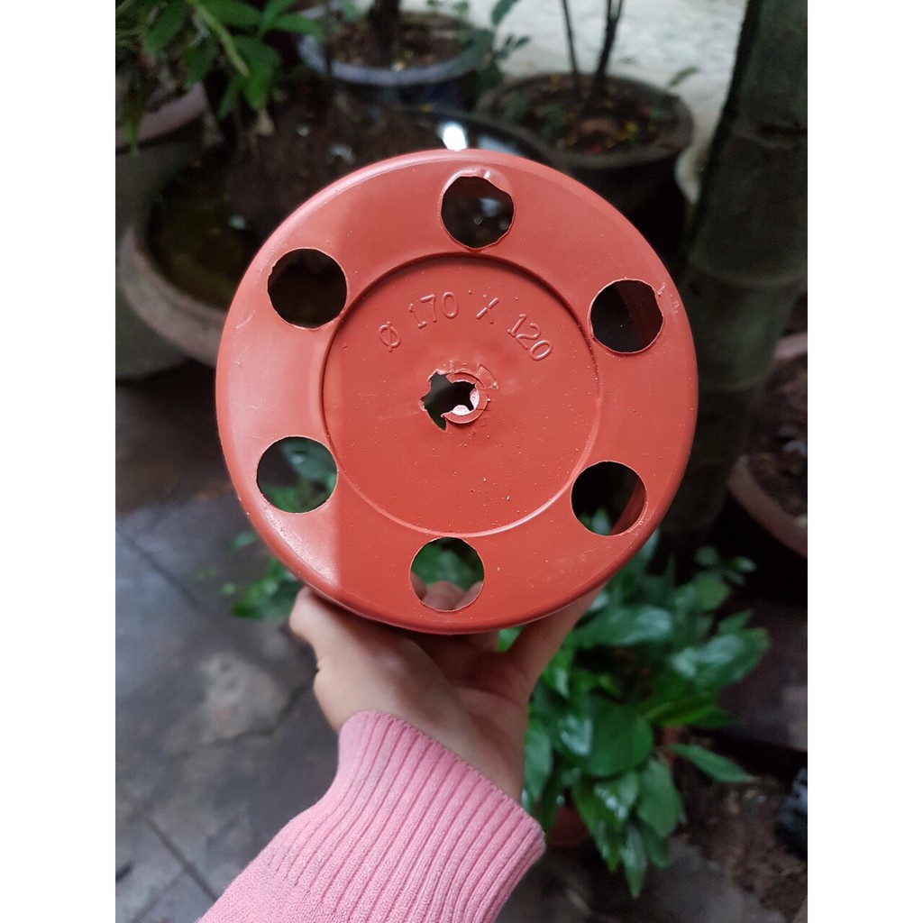 Chậu nhựa trồng lan giả gốm đất nung các kích cỡ loại đẹp, cam kết sản phẩm đúng mô tả, chất lượng đảm bảo