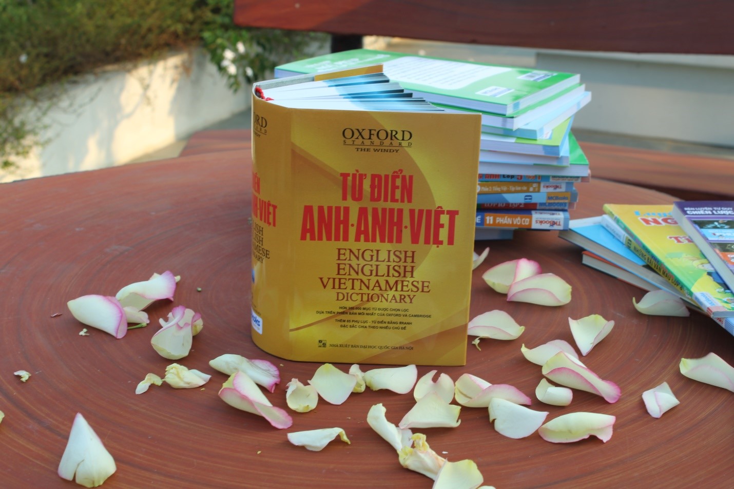 Sách - Từ điển Anh - Anh - Việt ( Bìa Vàng) - McBooks
