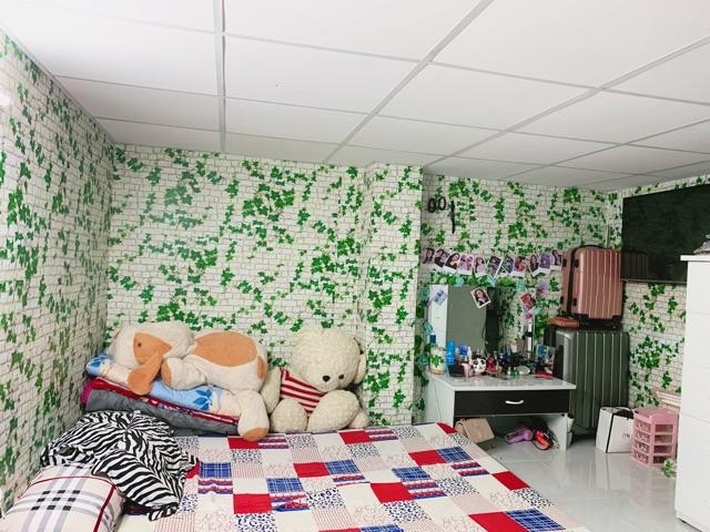 10m giấy dán tường gạch dây leo xanh ( cuộn dài 10m khổ rộng 45cm, giấy có keo sẵn)