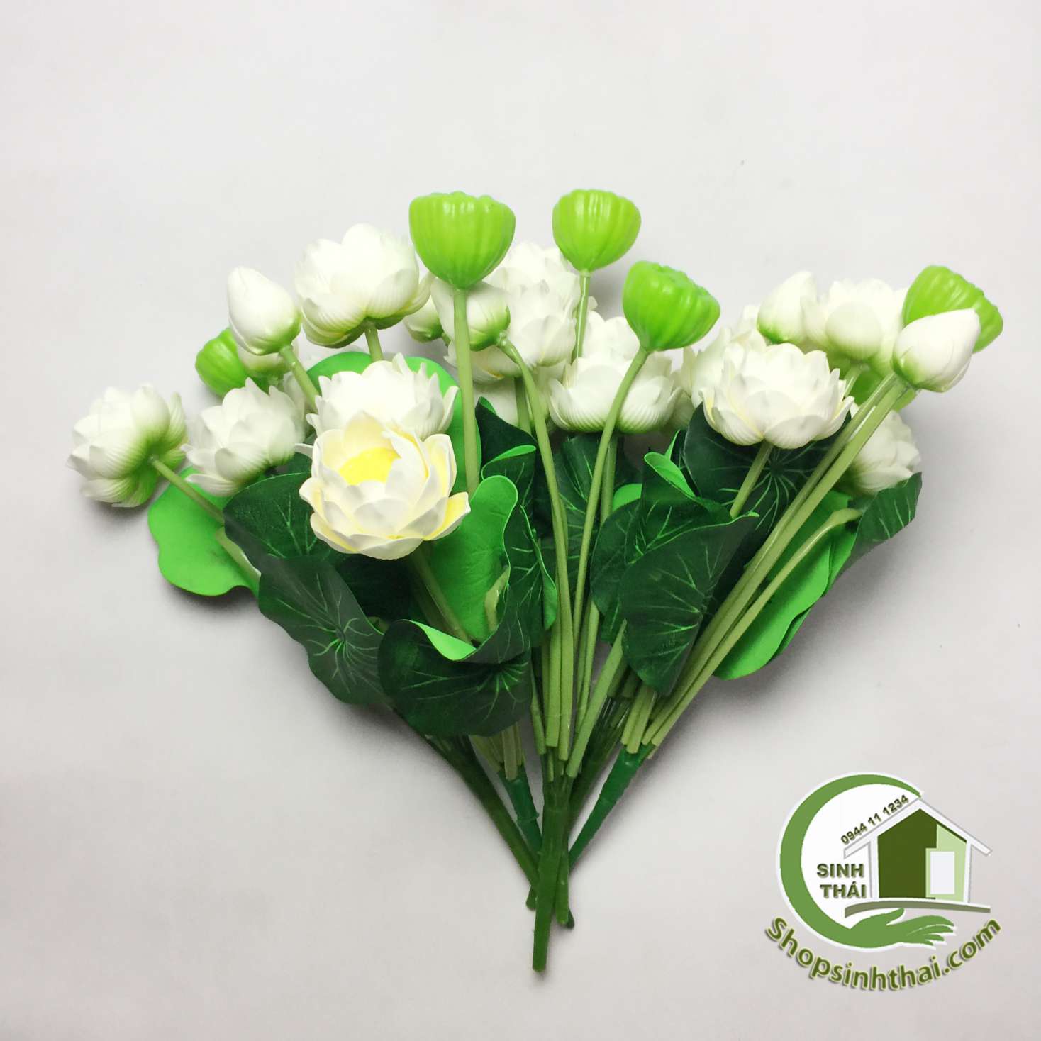 Bụi hoa sen nhỏ màu trắng