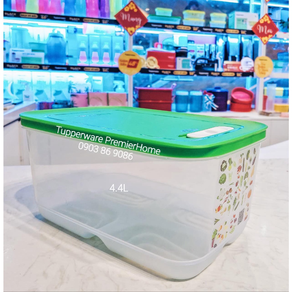 Hộp trữ mát Tupperware có nút hô hấp Ventsmart 4.4L