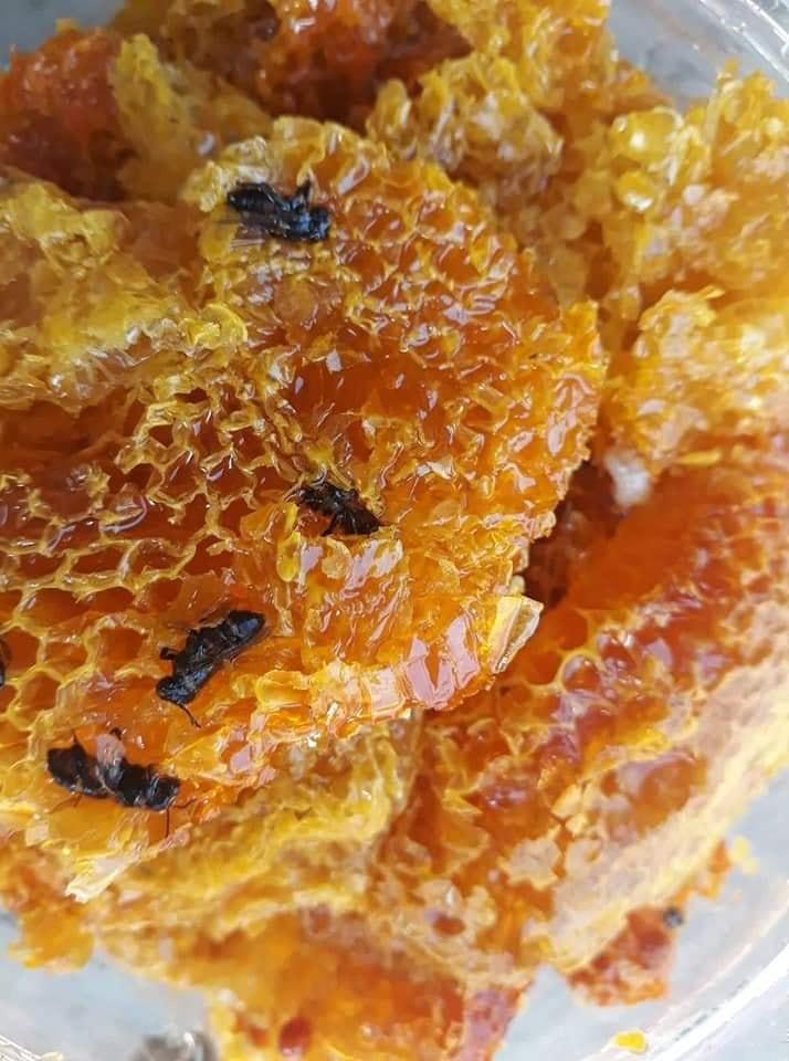 Mật ong rừng nguyên sáp 1kg