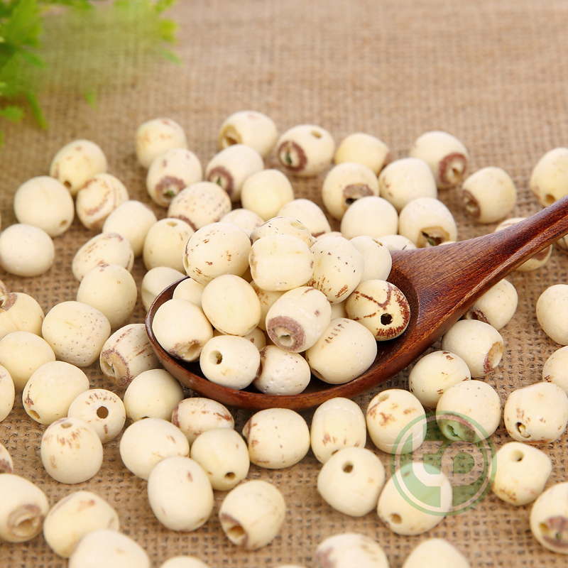 Hạt sen sấy khô 500g - Trà ngon bổ dưỡng tốt cho sức khỏe - Thảo Dược Tấn Phát
